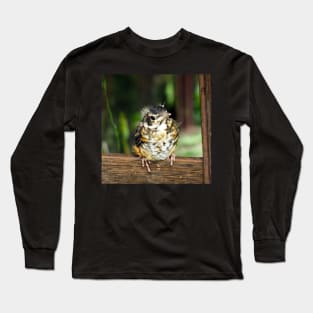 Young American Robin Perching Long Sleeve T-Shirt